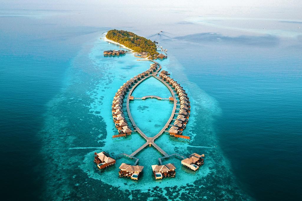 Lily Beach Maldives