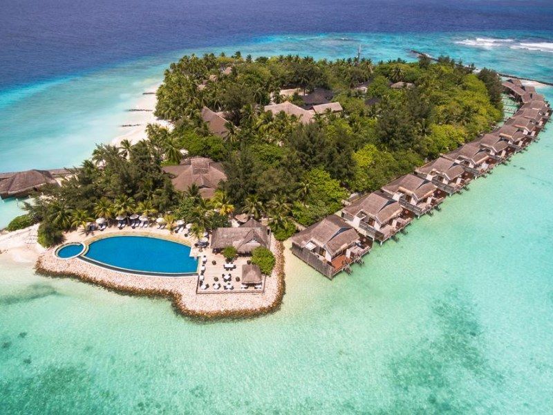 Taj Coral Reef Maldivas